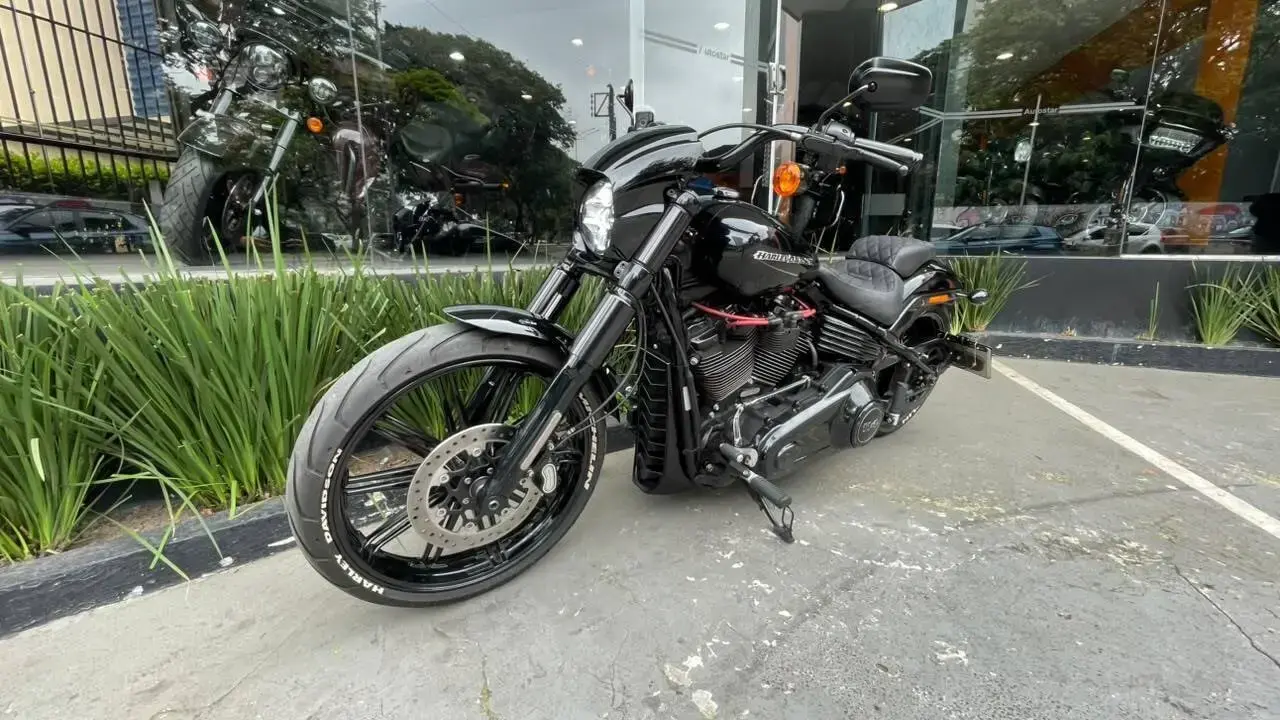 galeria Softail