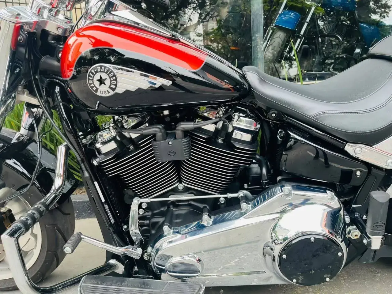 galeria Softail