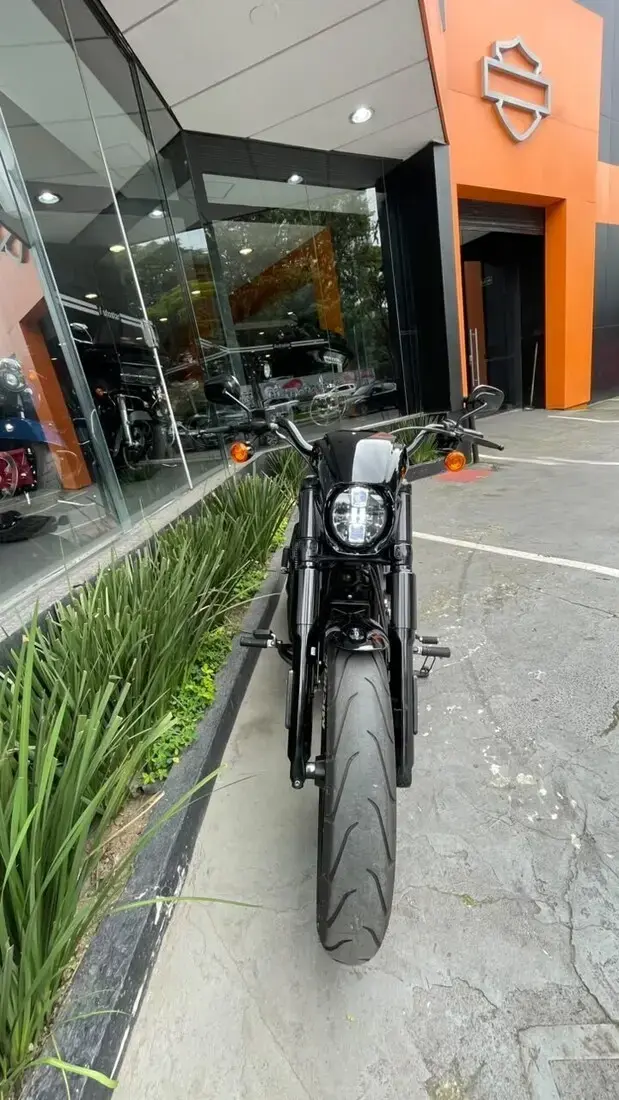 galeria Softail
