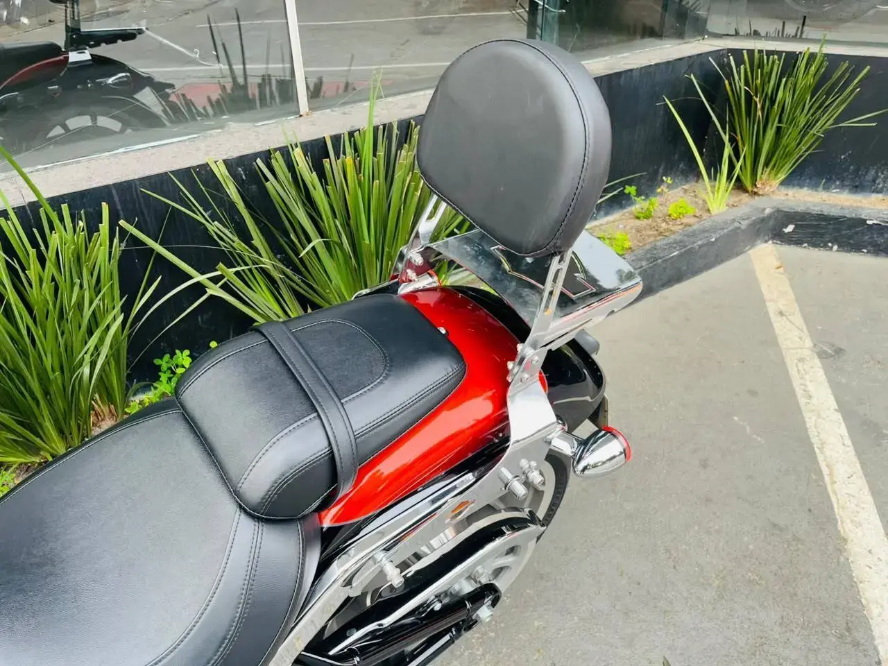 galeria Softail