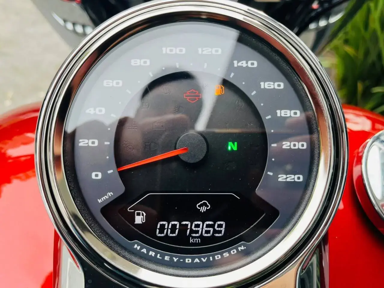 galeria Softail