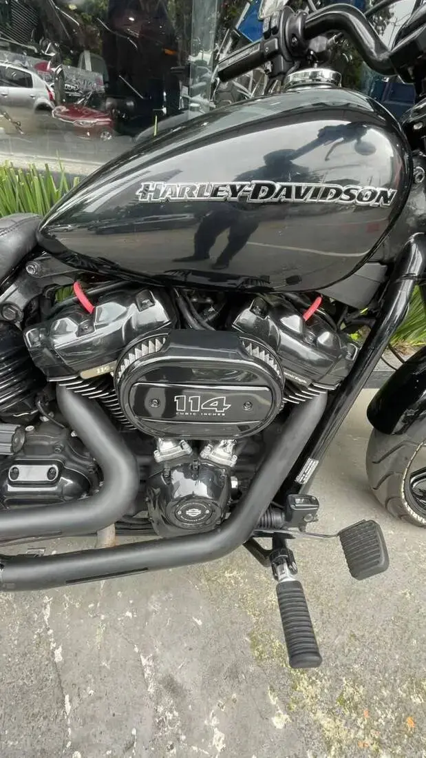 galeria Softail
