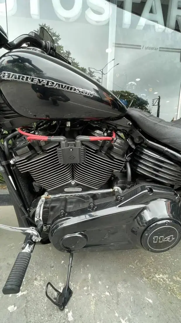 galeria Softail