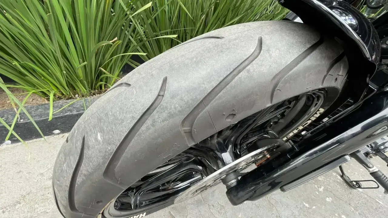 galeria Softail