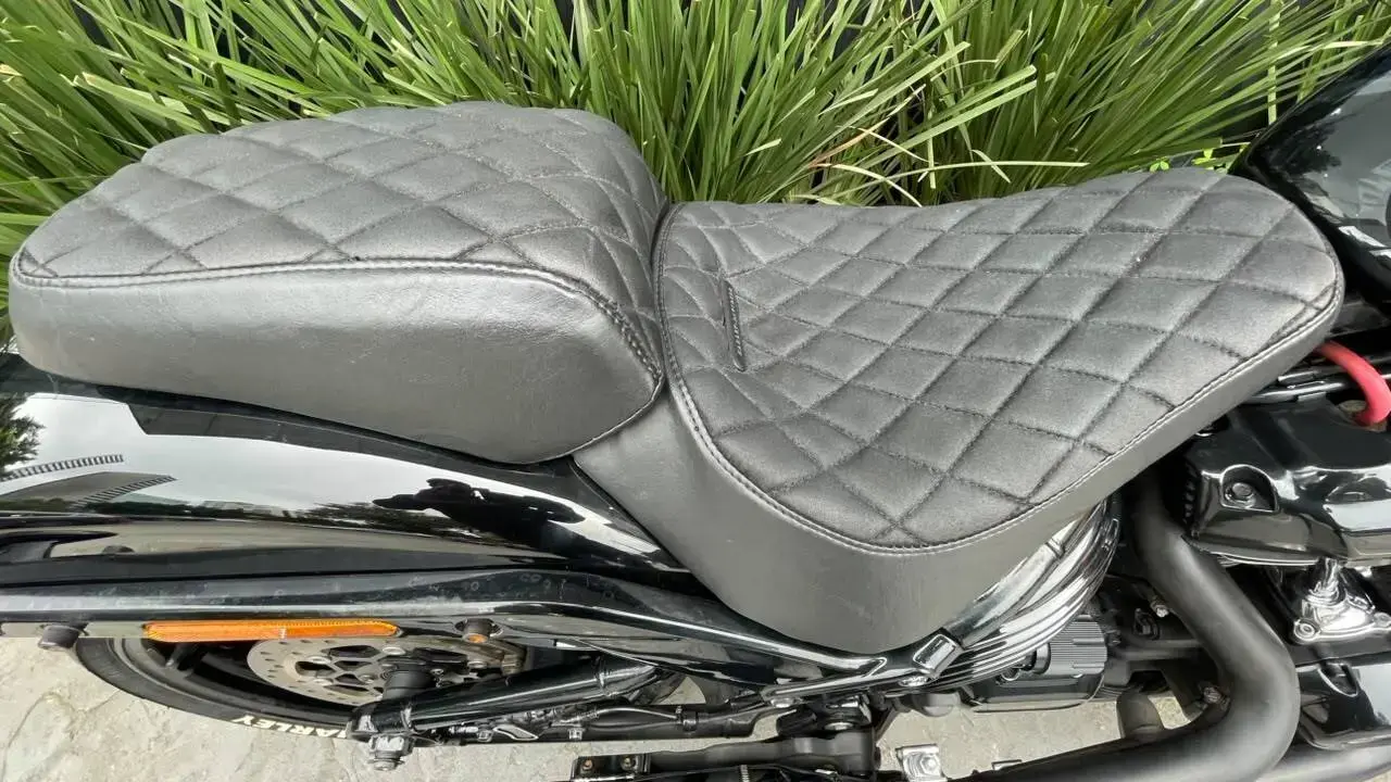 galeria Softail