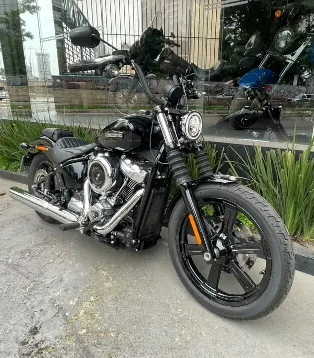 galeria Street Bob