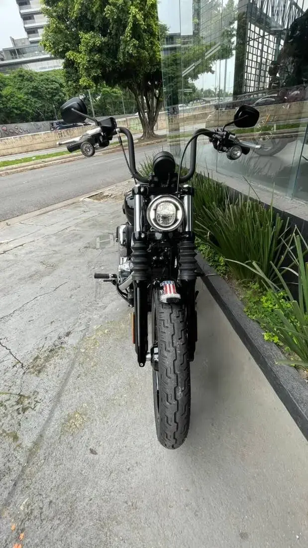 galeria Street Bob