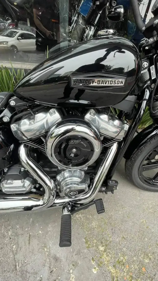 galeria Street Bob