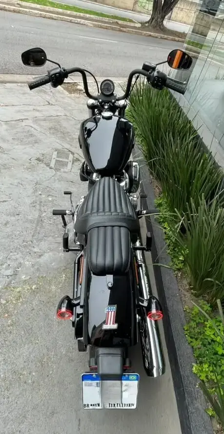 galeria Street Bob