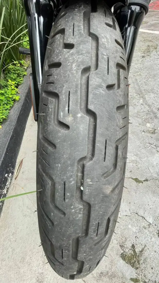 galeria Street Bob