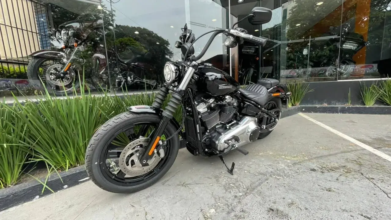 galeria Street Bob