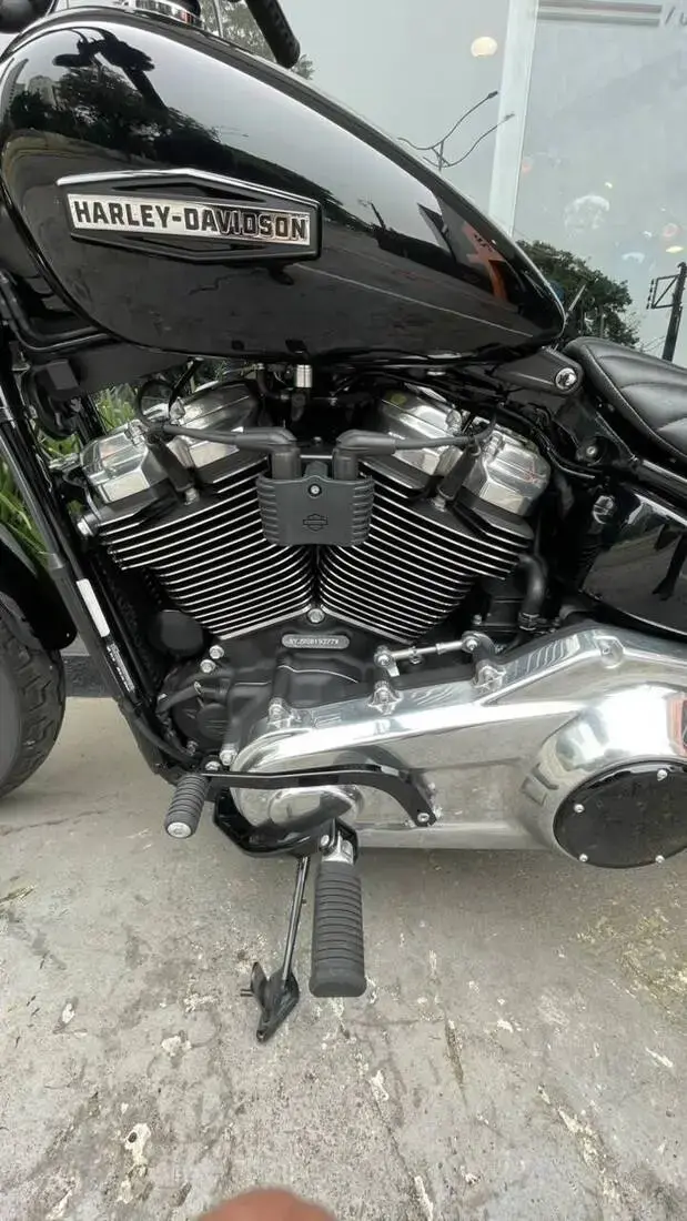galeria Street Bob