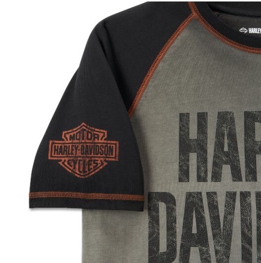 galeria CAMISETA MASCULINA IRON