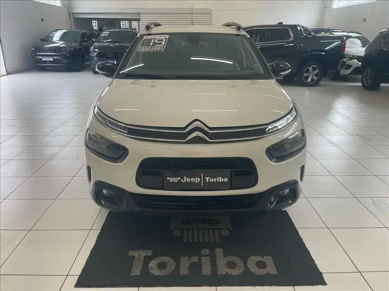 galeria C4 CACTUS