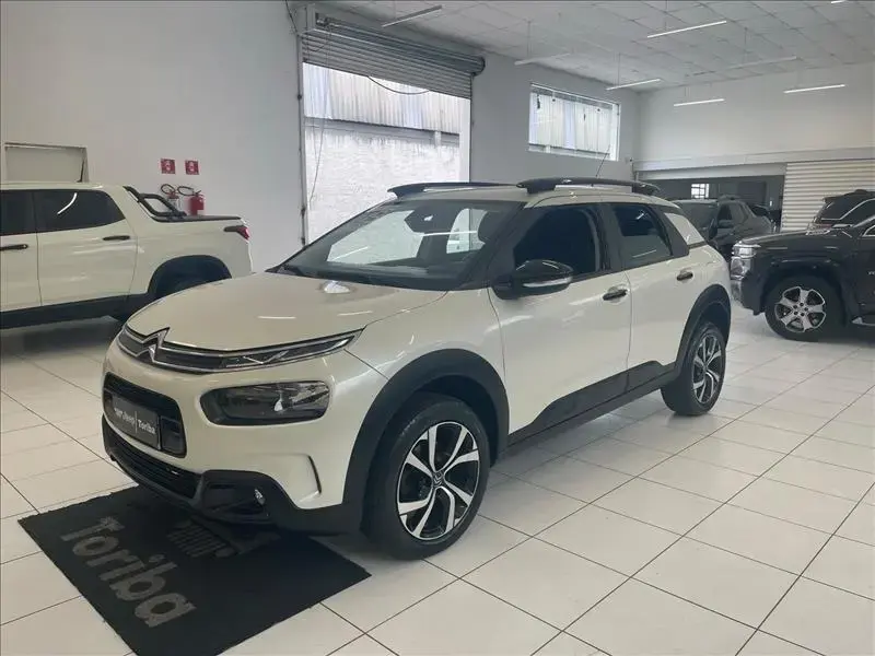 galeria C4 CACTUS