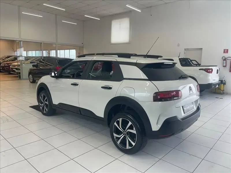 galeria C4 CACTUS