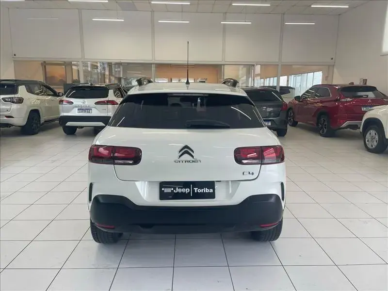 galeria C4 CACTUS