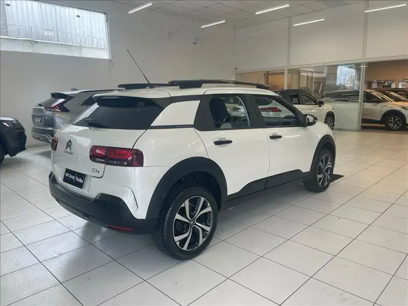 galeria C4 CACTUS