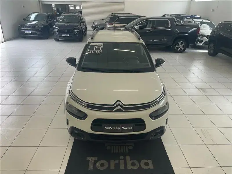 galeria C4 CACTUS