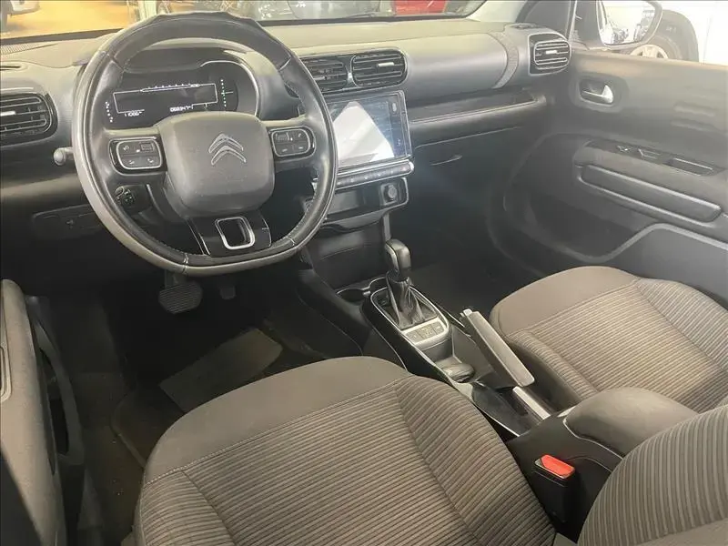galeria C4 CACTUS