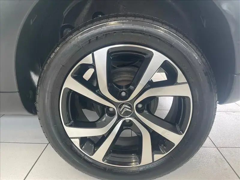 galeria C4 CACTUS