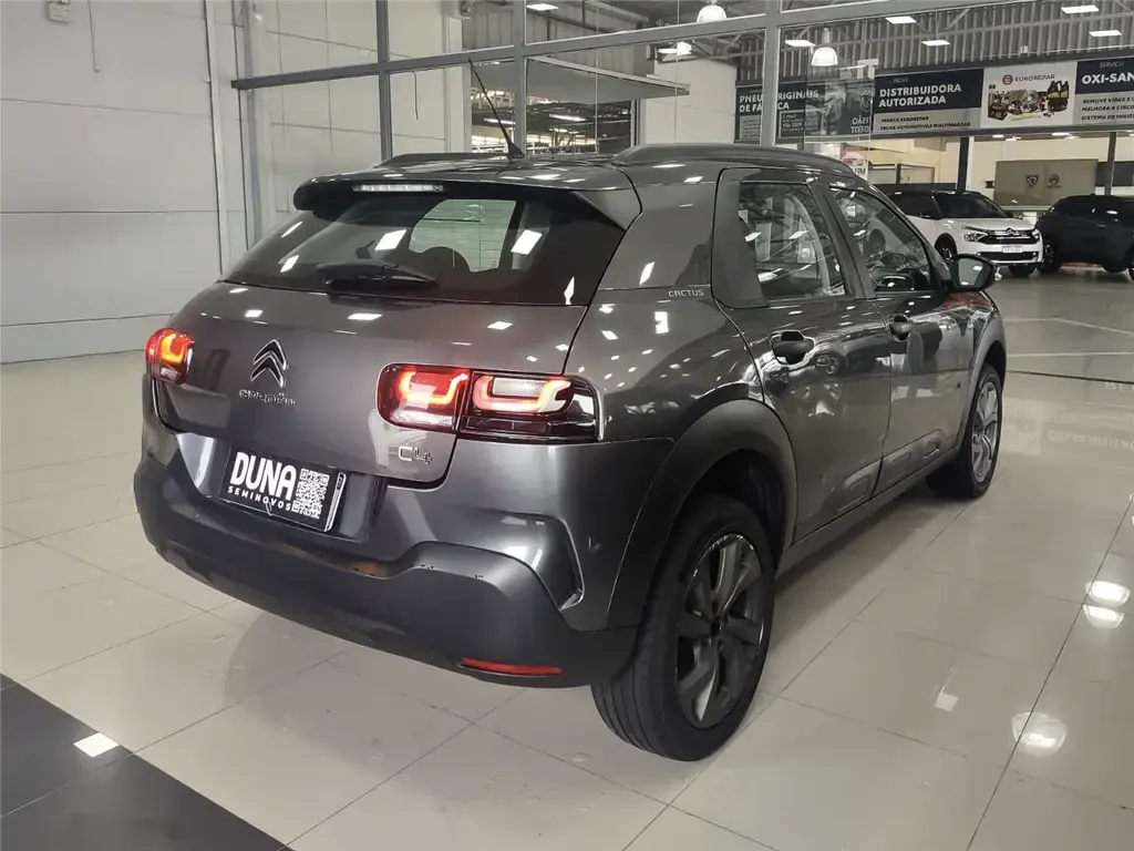 galeria C4 CACTUS