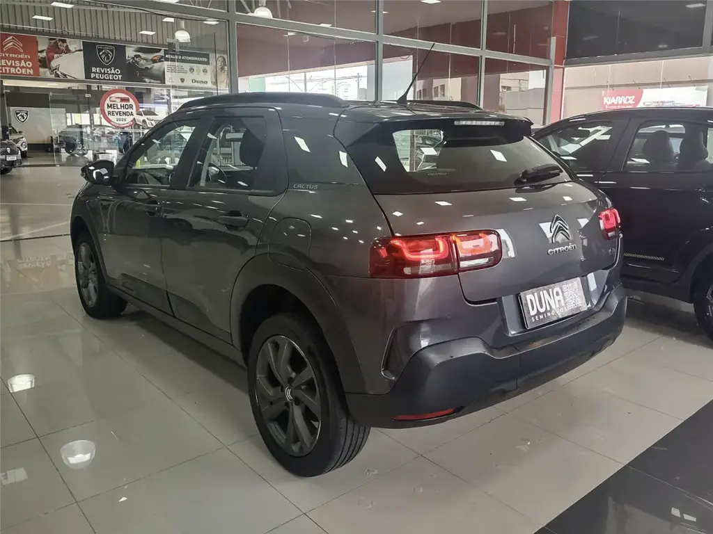 galeria C4 CACTUS