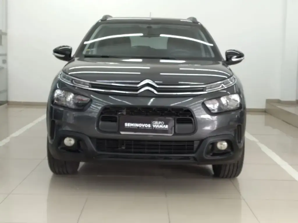 galeria C4 CACTUS