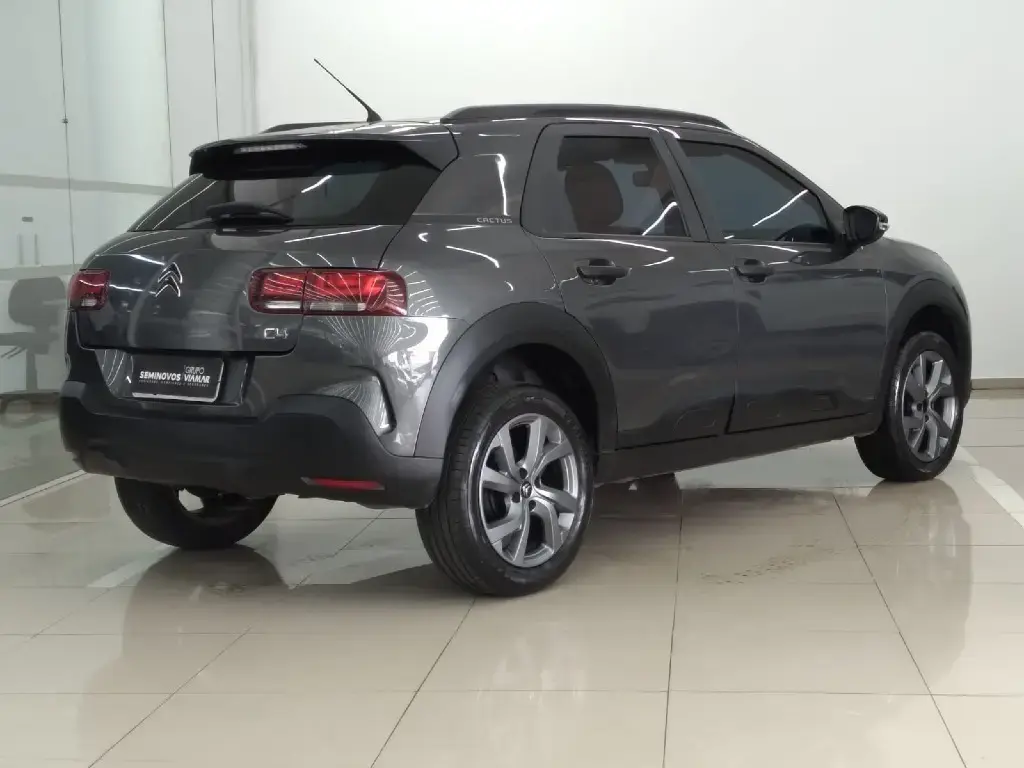 galeria C4 CACTUS