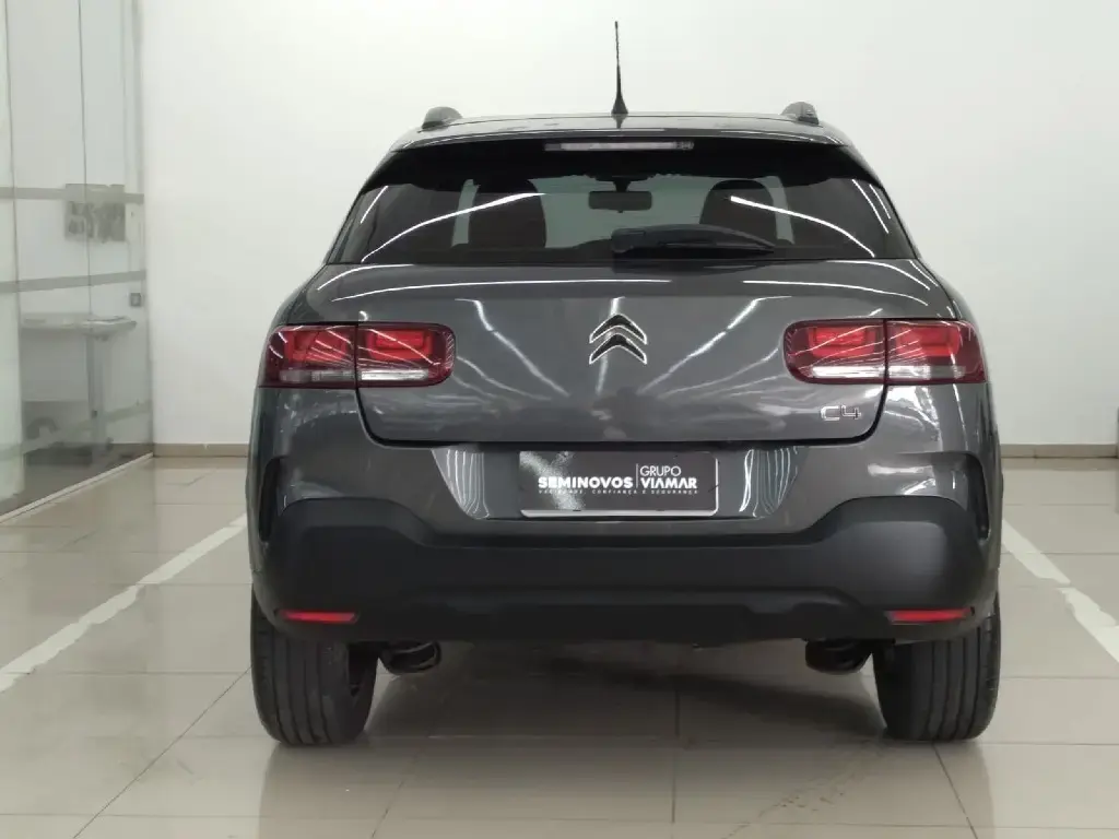 galeria C4 CACTUS