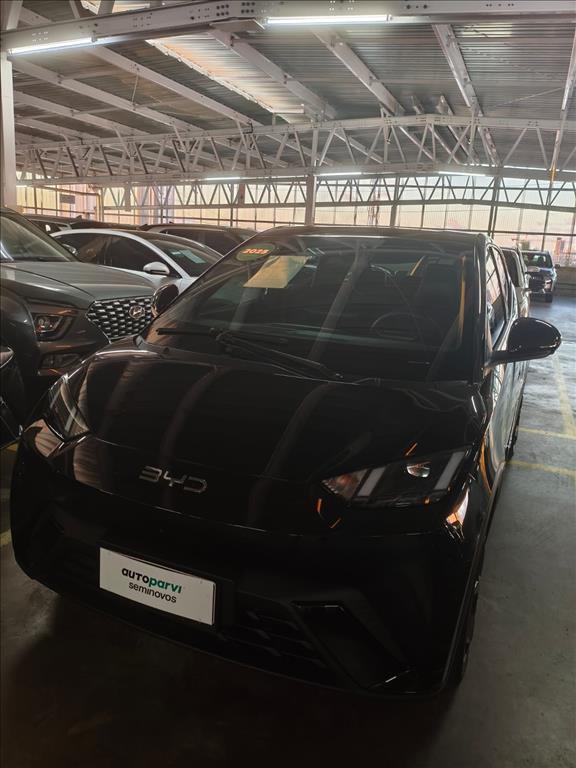 Byd DOLPHIN MINI