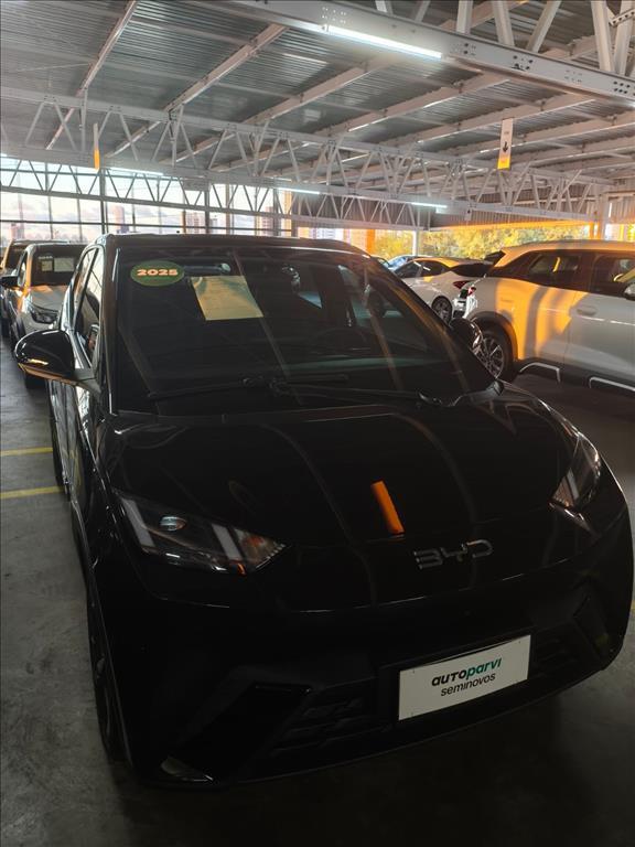 Byd DOLPHIN MINI