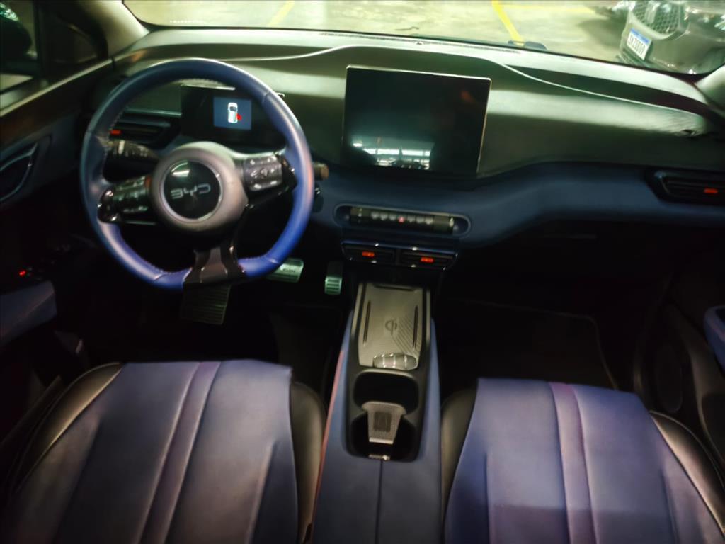 Byd DOLPHIN MINI
