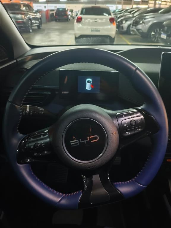 Byd DOLPHIN MINI