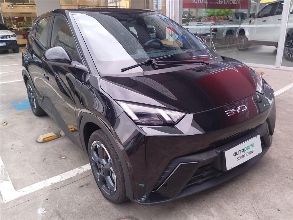 Byd DOLPHIN MINI