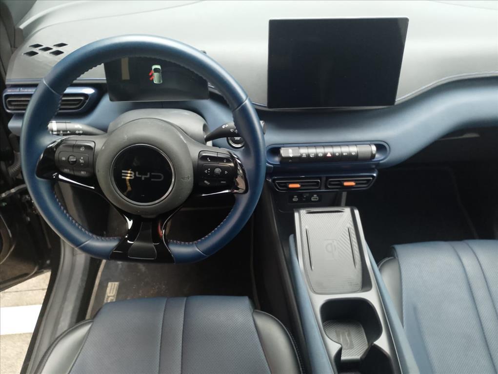Byd DOLPHIN MINI