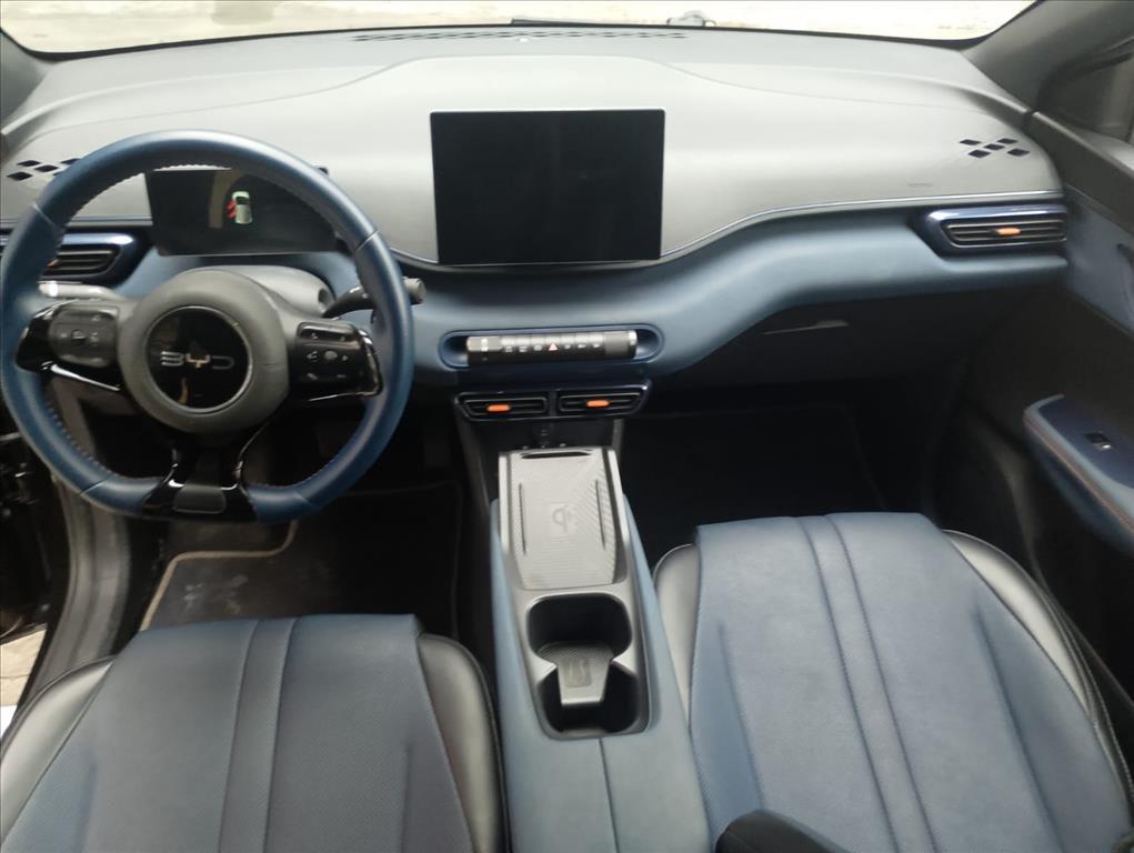 Byd DOLPHIN MINI