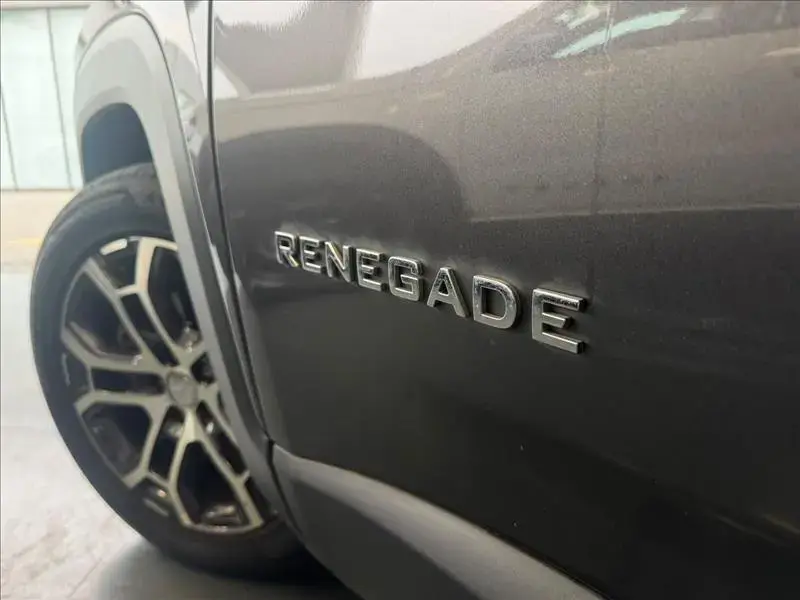 galeria RENEGADE