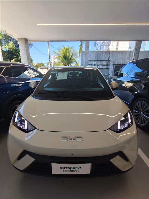 Byd DOLPHIN MINI