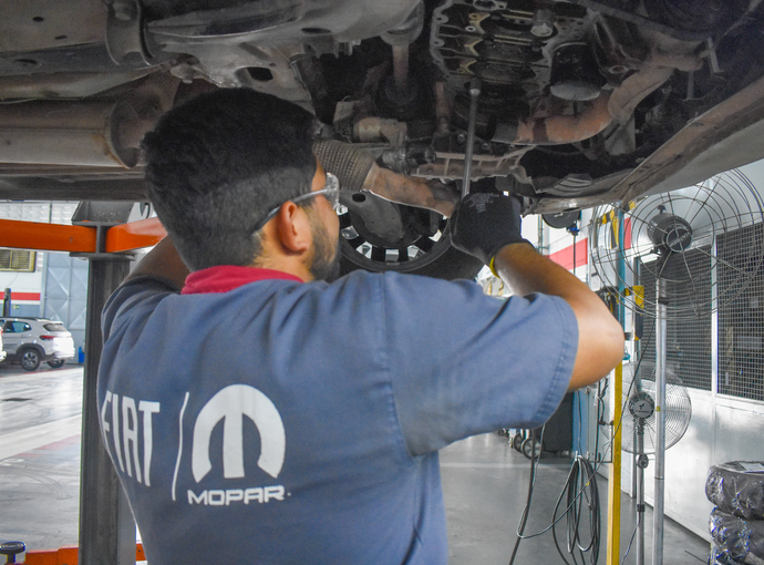 Imagem do Revisões Programadas