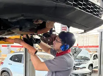 Revisões Programadas