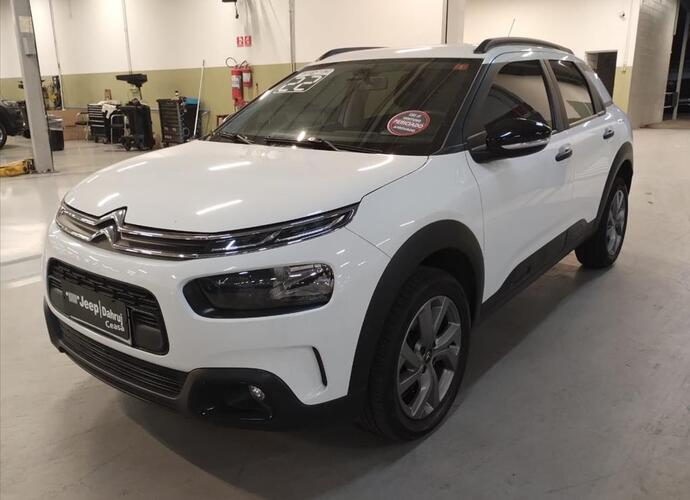 galeria C4 CACTUS