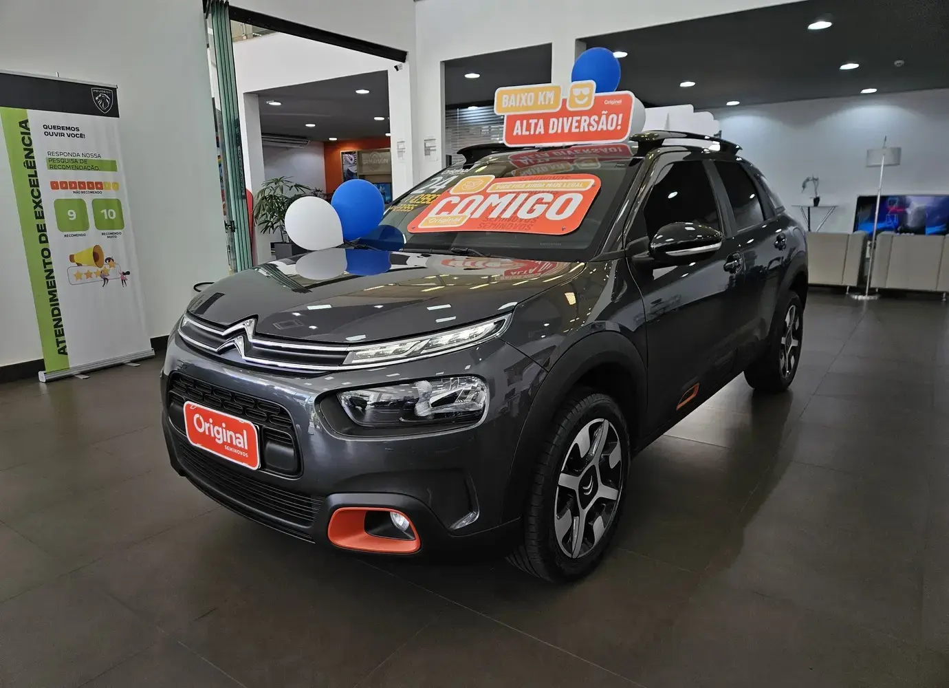 galeria C4 Cactus