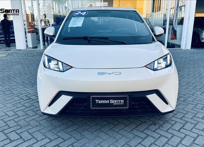 galeria DOLPHIN MINI