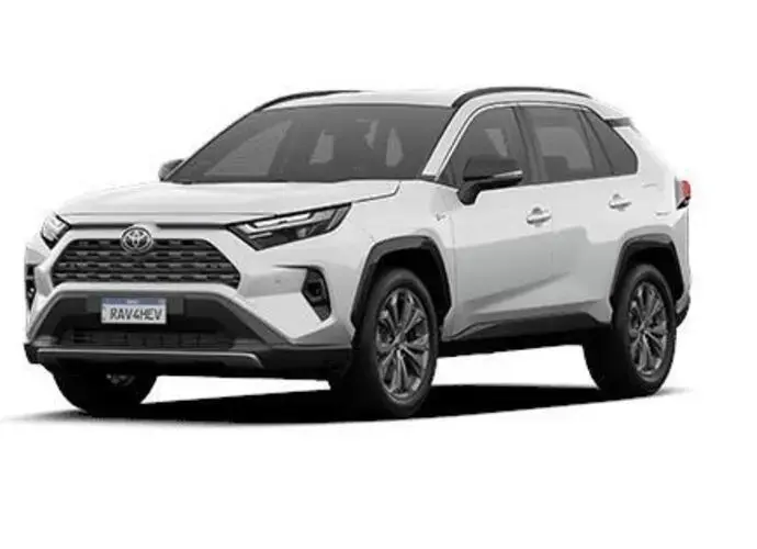 galeria RAV4 (NEW)