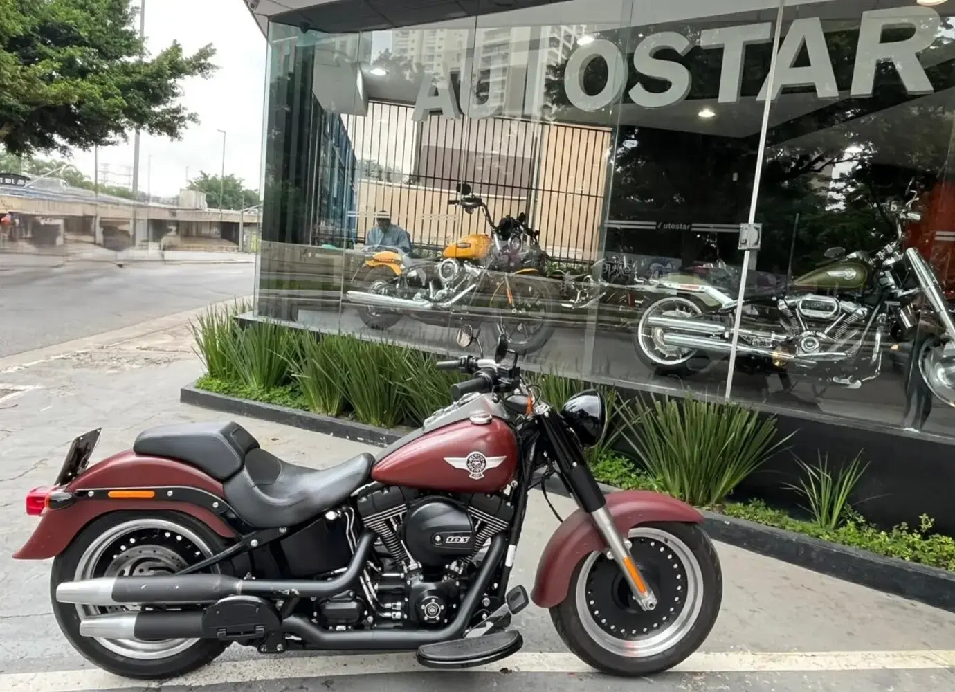 galeria Softail