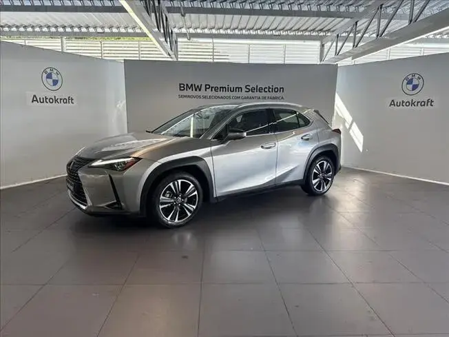 UX 250H
