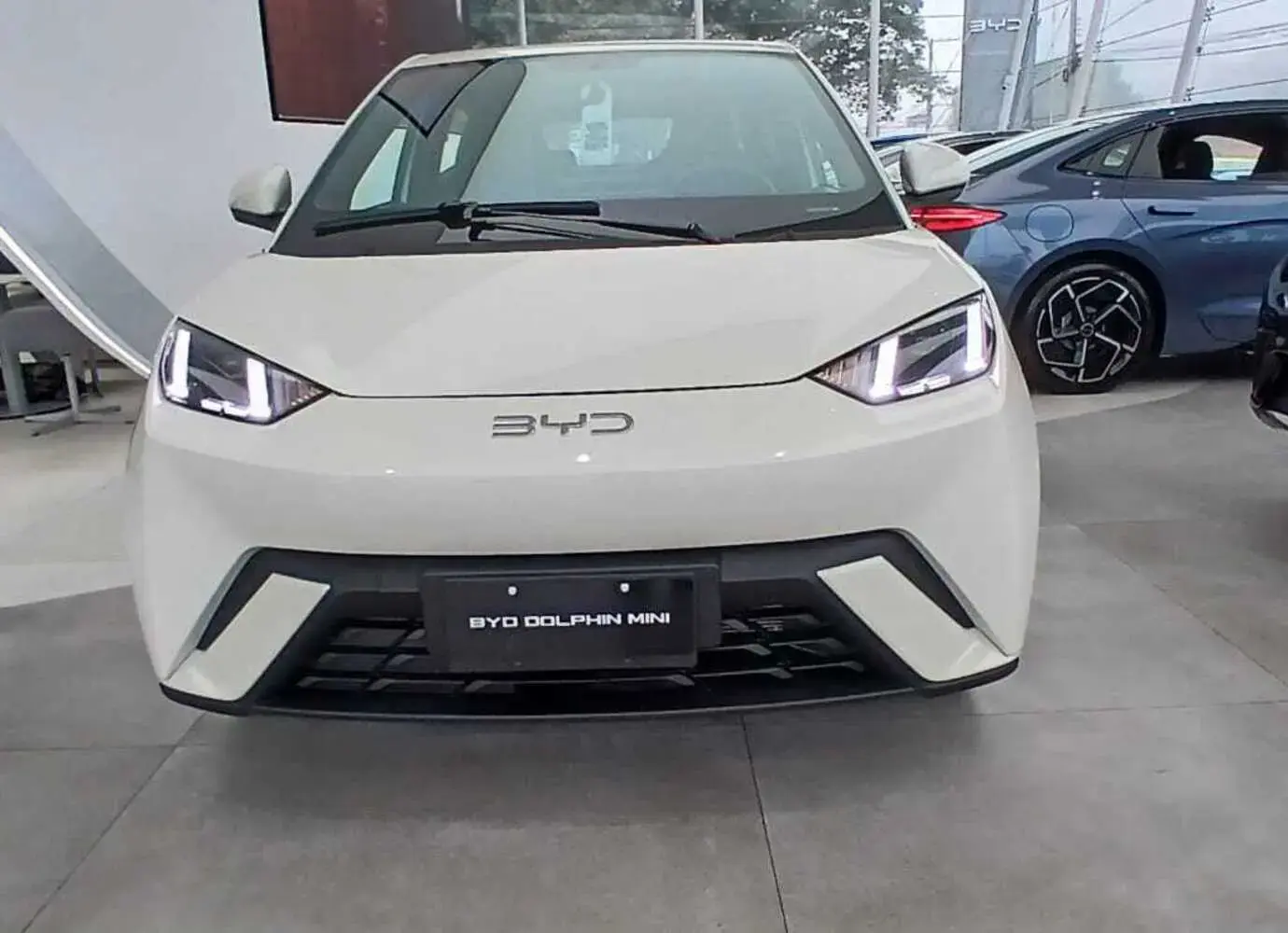 galeria Dolphin Mini