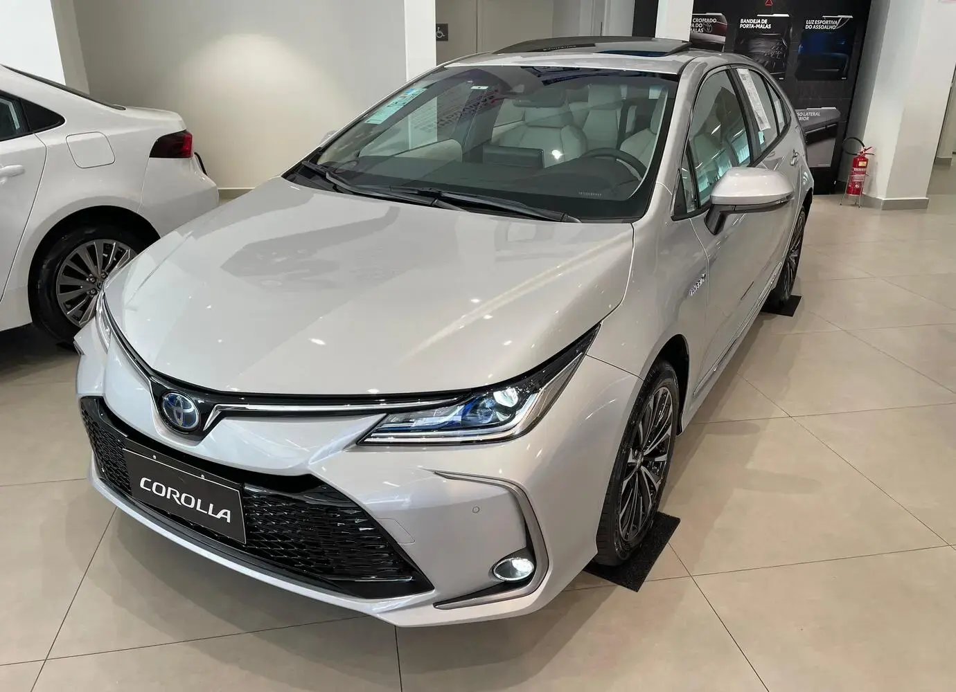 galeria Corolla
