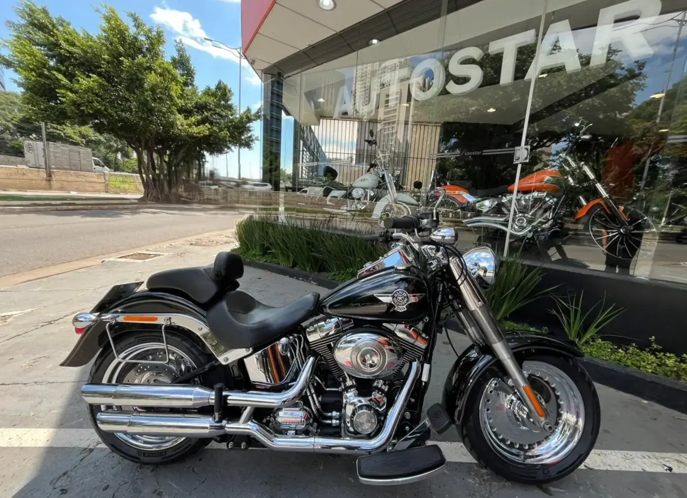 galeria Fat Boy FLSTF